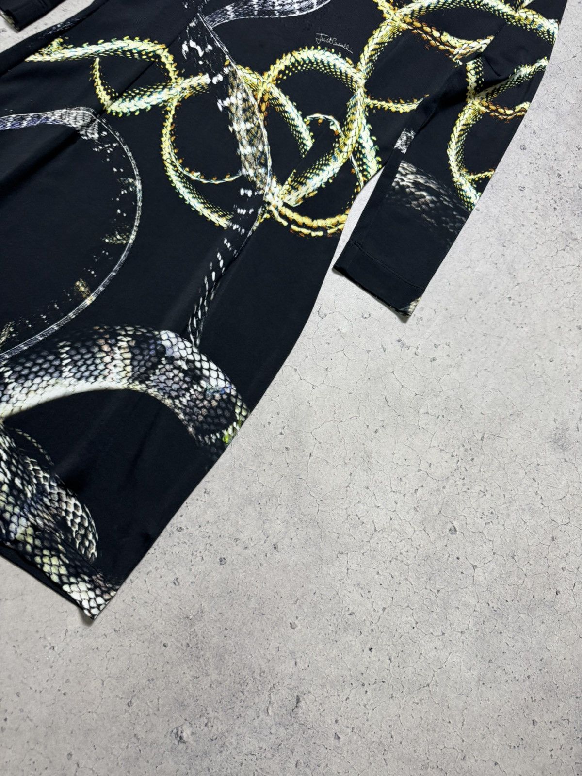 Just Cavalli Just Cavalli Snake Print Maxi Dress Luxury Vintage 00’s Y2K Size L / US 10 / IT 46 - 3 Thumbnail