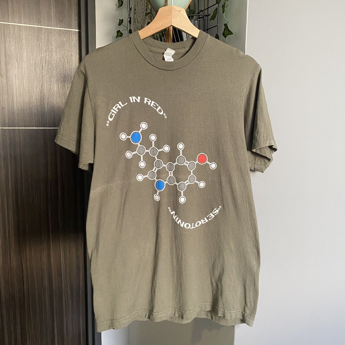 Band Tees Girl In Red Serotonin Song Indie Band ERD GRUNGE GRAIL Tee Size US M / EU 48-50 / 2 - 1 Thumbnail