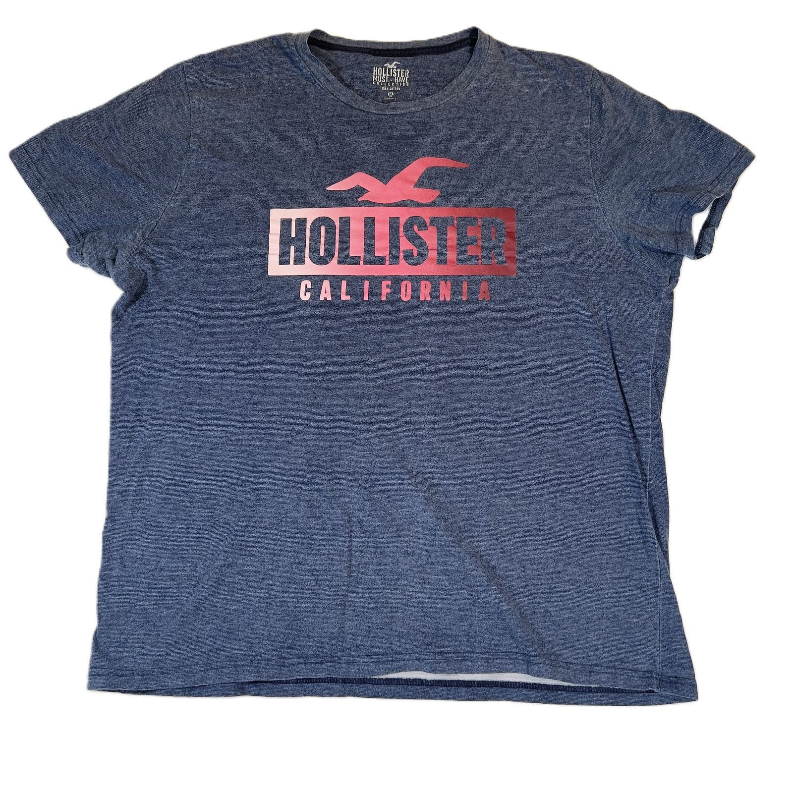Hollister Hollister T-Shirts Lot of 2 Men M Logo Cali Blue & Blue Grey Size US M / EU 48-50 / 2 - 2 Thumbnail