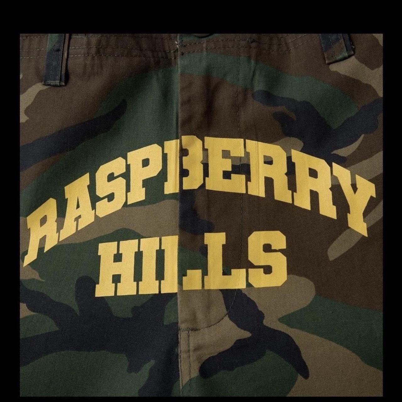 The GV Gallery GV Gallery Raspberry Hills Camo Cargo Pants Size US 32 / EU 48 - 3 Thumbnail