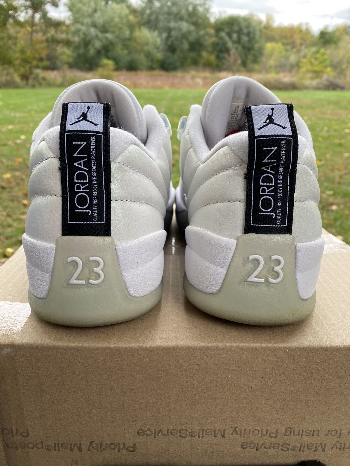 Jordan Brand Nike Air Jordan Retro 12 Low Easter DB0733190 Size 10 Men Size US 10 / EU 43 - 5 Thumbnail