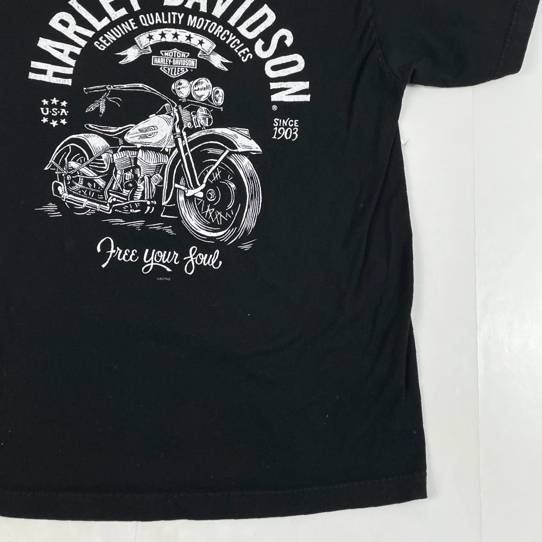 Harley Davidson Harley-Davidson Shirt Mens M Black Barracuda Graphic Print Logo Biker Motorcycle T-Shirt Short Sleeve Crew Neck Size US M / EU 48-50 / 2 - 5 Thumbnail