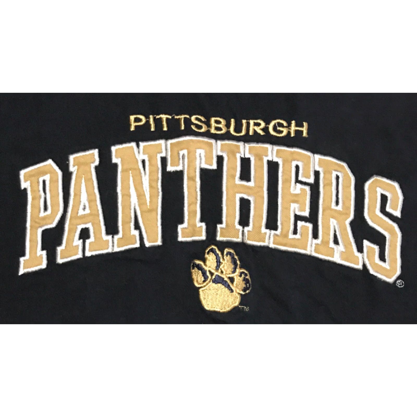 X-LARGE VINTAGE Oldvarsity Pittsburgh Panthers Embroidered T-Shirt XL Navy College Football 90s Mens Size US XL / EU 56 / 4 - 2 Thumbnail