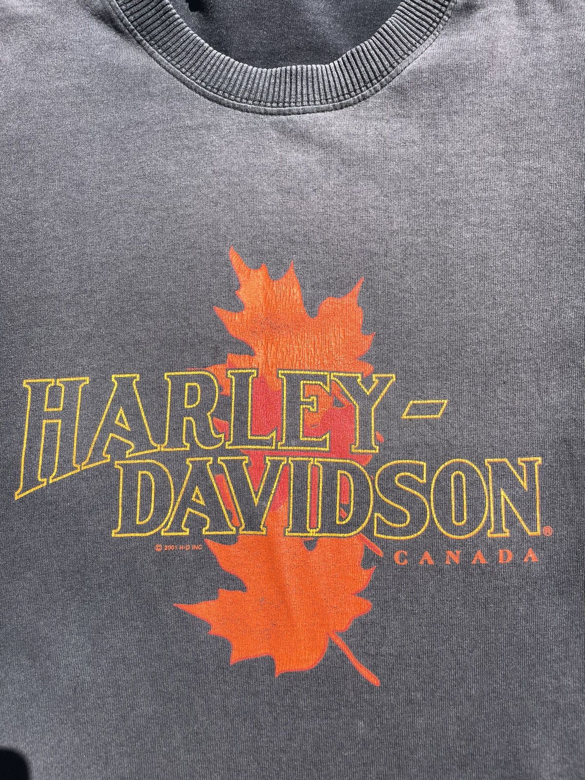 Harley Davidson Harley Davidson Long Sleeve T-Shirt Size US L / EU 52-54 / 3 - 3 Thumbnail