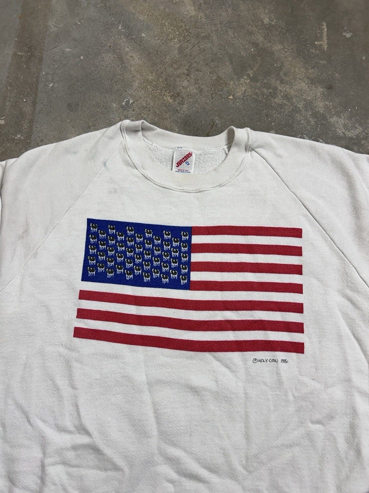 Jerzees Vintage 80’s Holy Cow Flag Graphic Sweatshirt Size Large Size US L / EU 52-54 / 3 - 2 Thumbnail