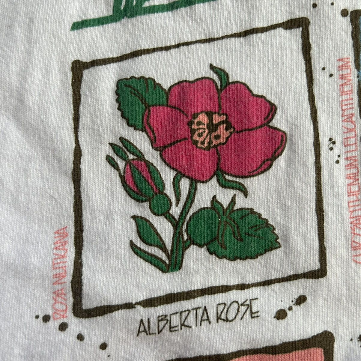 Vintage VANCOUVER iSLAND BRiTiSH COLUMBiA CANADA WiLDFLOWERS BOTANY Size US L / EU 52-54 / 3 - 12 Thumbnail