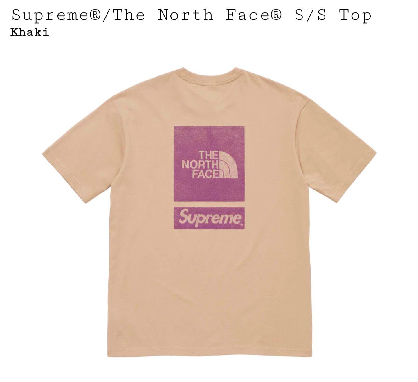 Supreme Supreme x The North Face S/S Top | Grailed