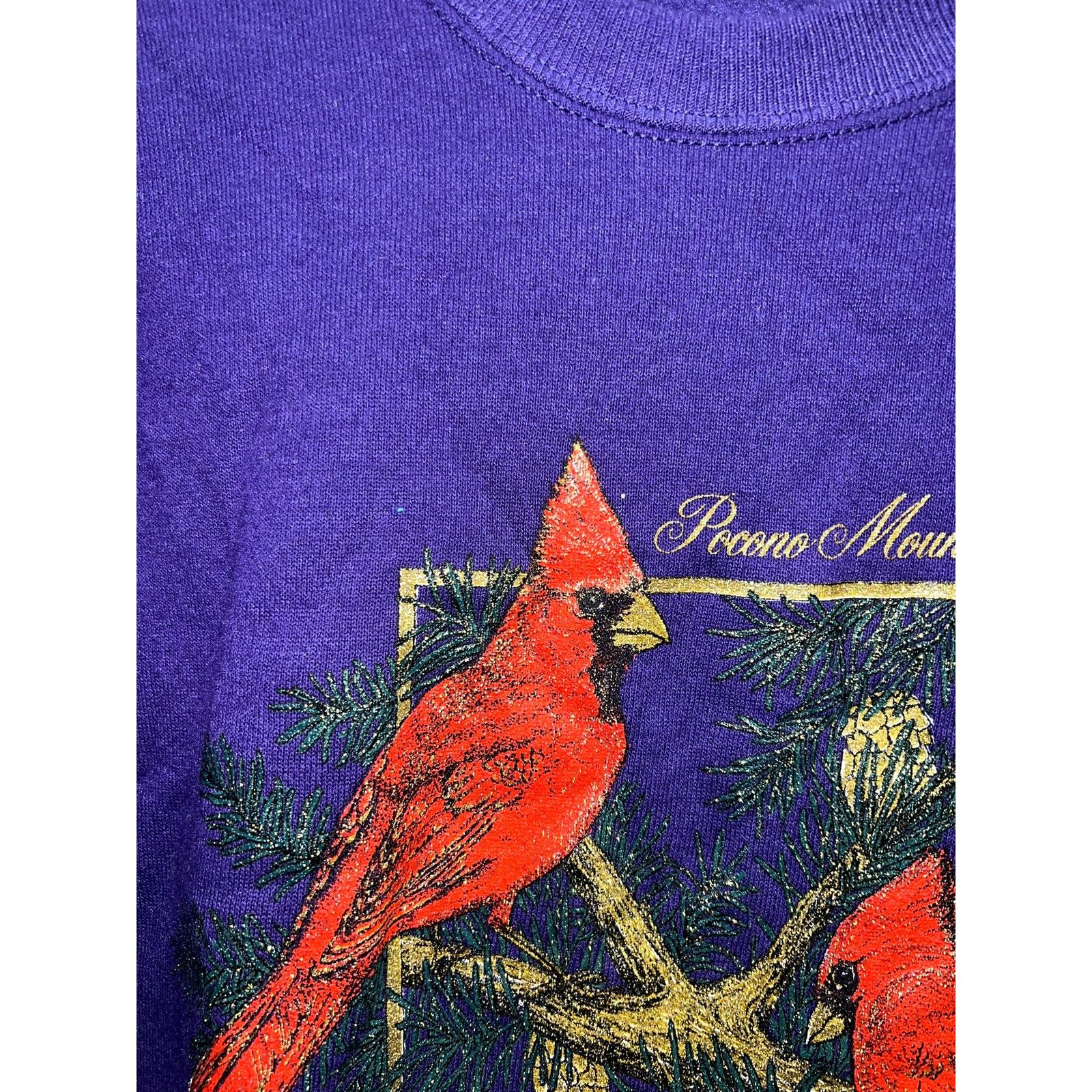 Jerzees Vintage Pocono Mountains Sweatshirt Cardinal Bird Large 90s Size US L / EU 52-54 / 3 - 3 Thumbnail