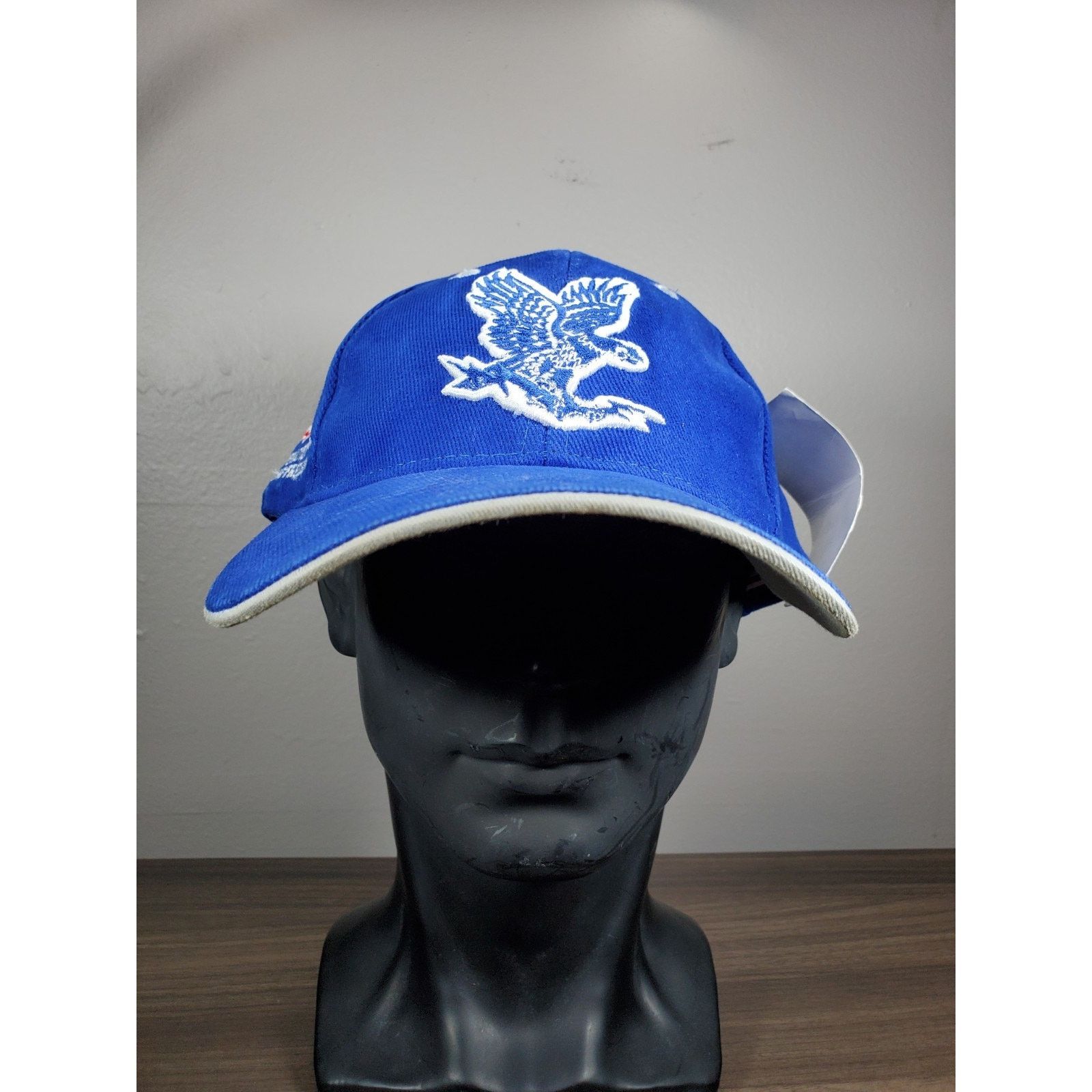Colosseum Athletics × NCAA Air Force Falcons Hat Cap GO BIG BLUE Enduring Freedom Size ONE SIZE - 4 Thumbnail