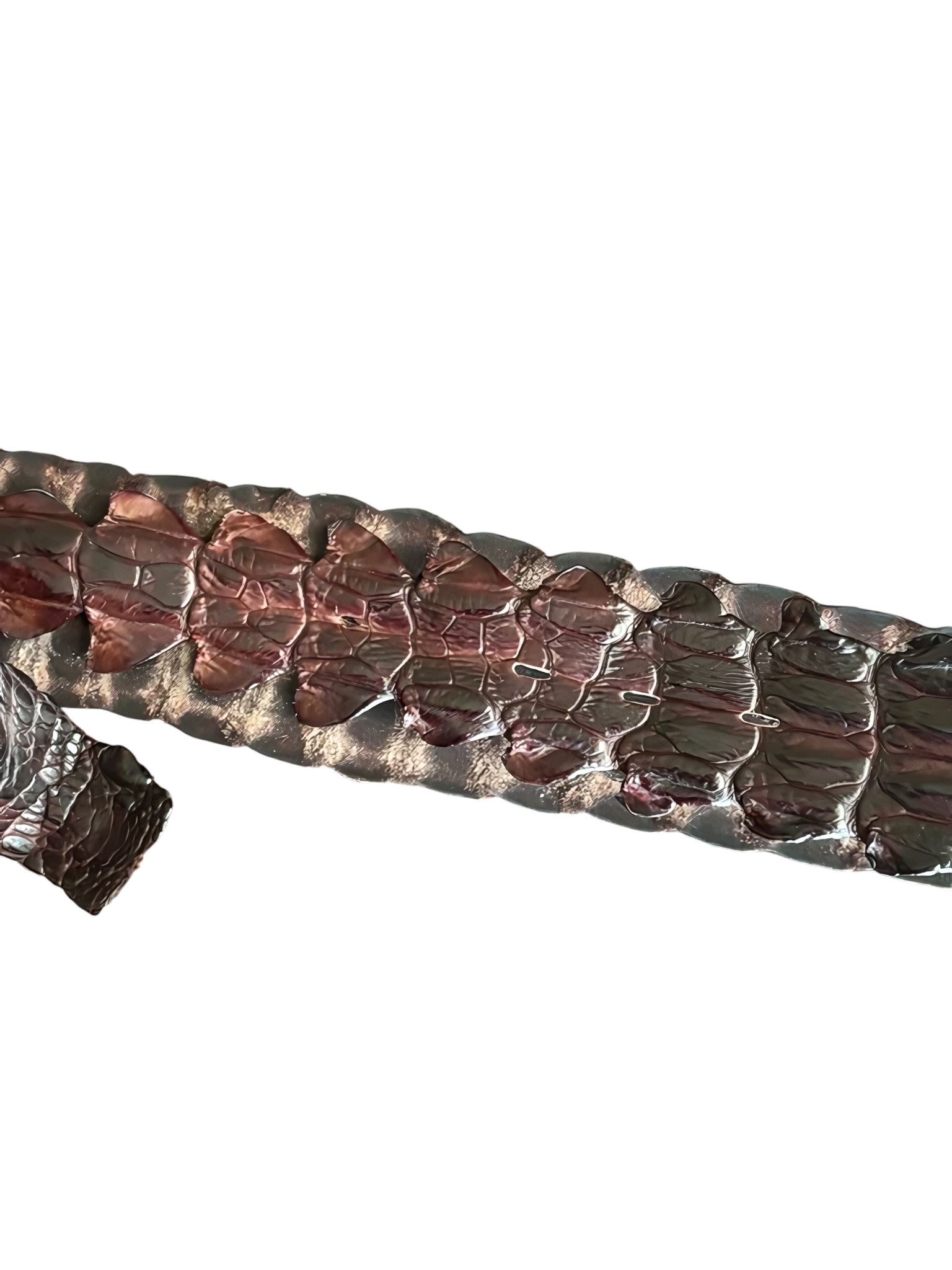 Roberto Cavalli S/S 2005 REAL CROCODILE SKIN BELT Size ONE SIZE - 4 Thumbnail