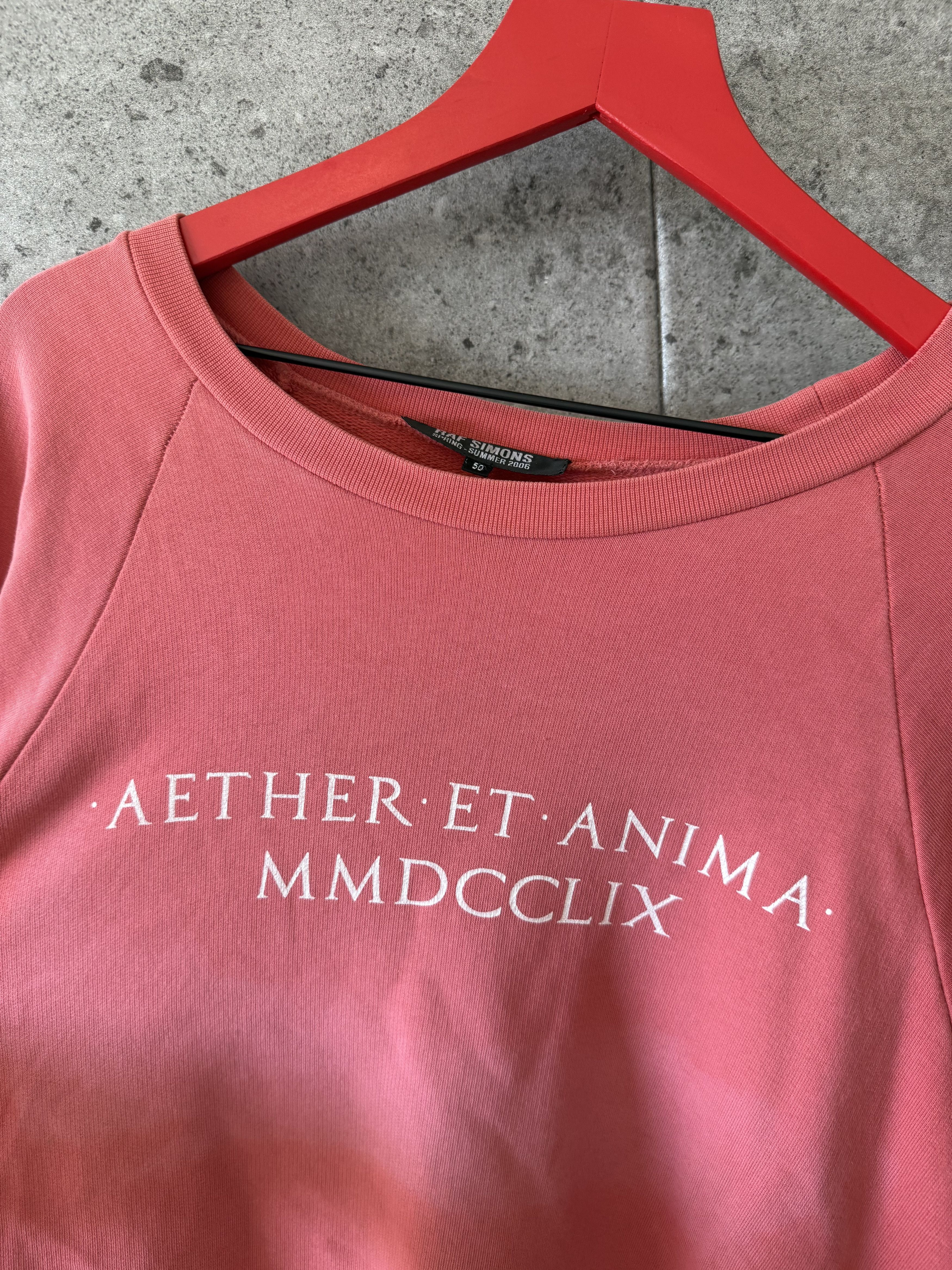 Raf Simons Raf Simons anther et anima icarus surgit crewneck Size US L / EU 52-54 / 3 - 3 Thumbnail