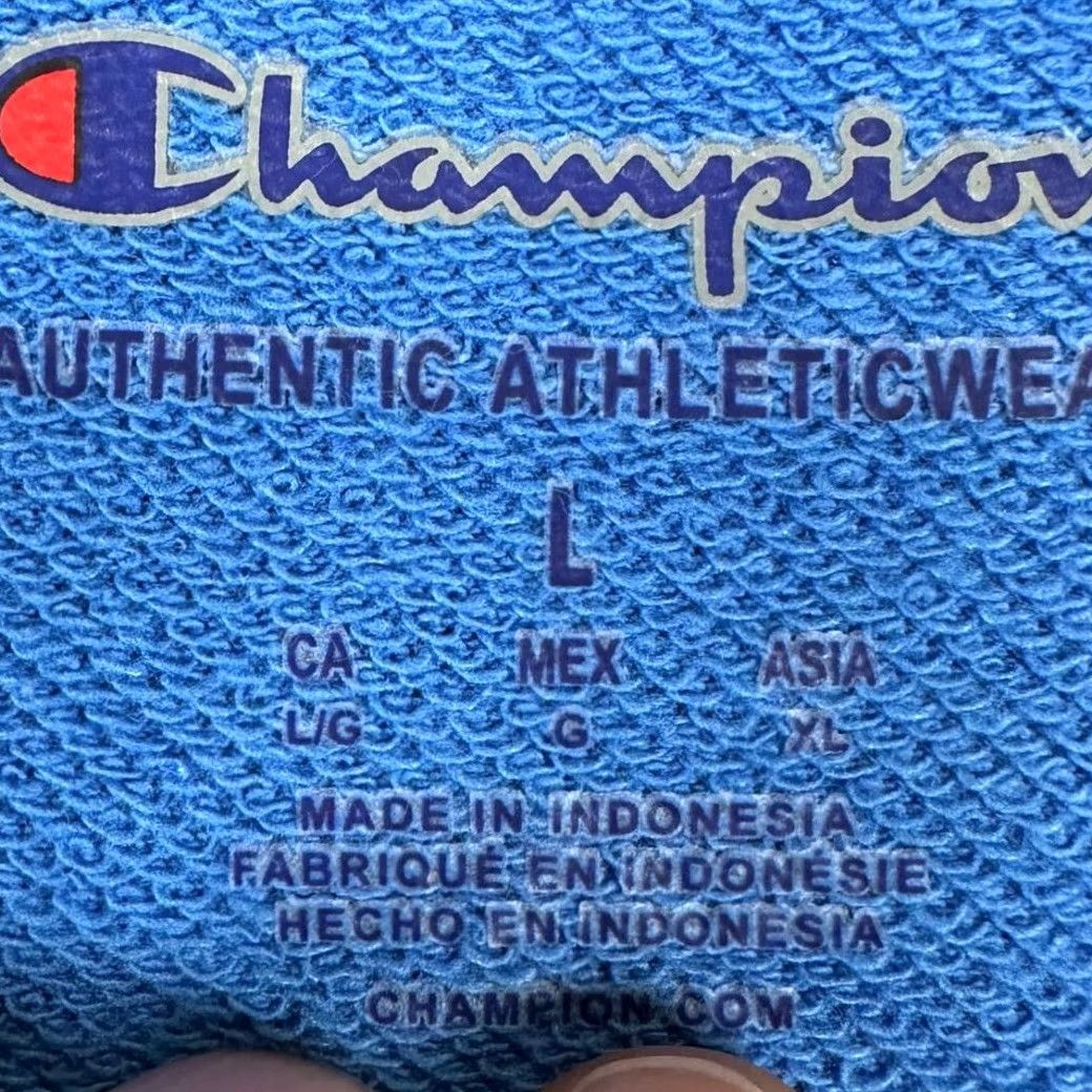 Champion Champion Crew Neck Sweatshirt Adult Large Blue Graphic Print Logo Pullover Mens Size US L / EU 52-54 / 3 - 4 Thumbnail