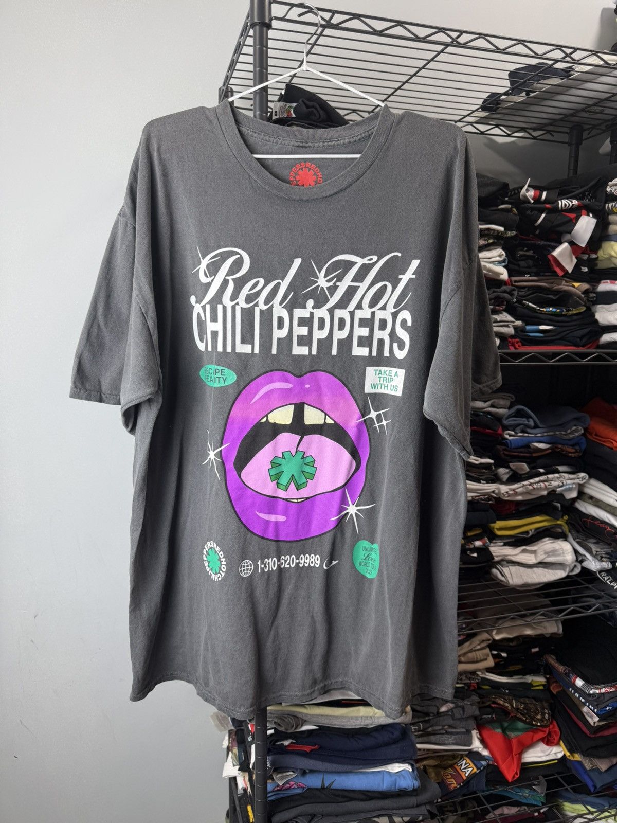 Band Tees Vintage Style Red Hot Chili Peppers Band T Shirt Size US XL / EU 56 / 4 - 1 Thumbnail
