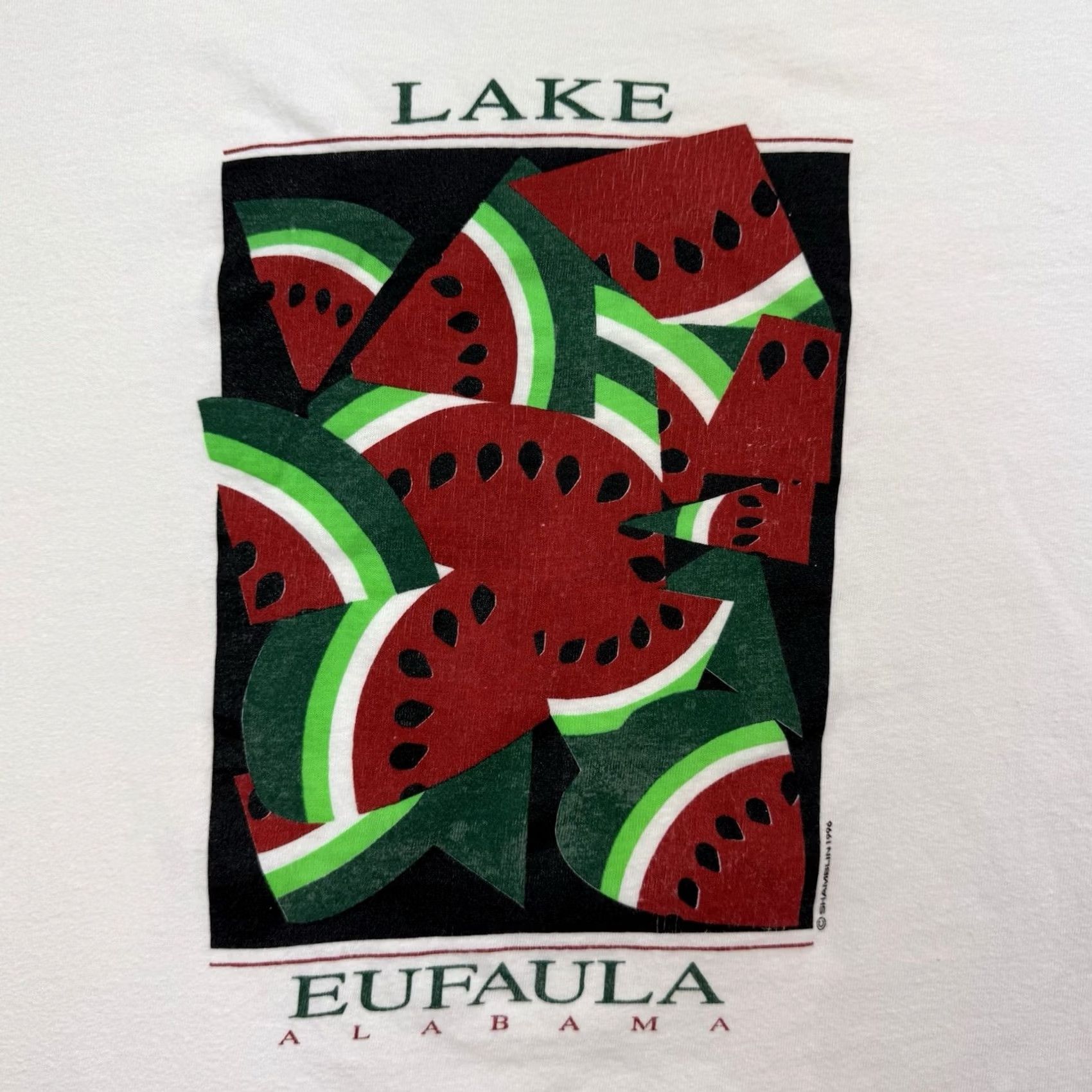 Hanes VINTAGE Hanes Watermelon Lake Eufaula Alabama T Shirt Adult XL White Cotton Nature Outdoor Summer 90s Mens Size US XL / EU 56 / 4 - 3 Thumbnail