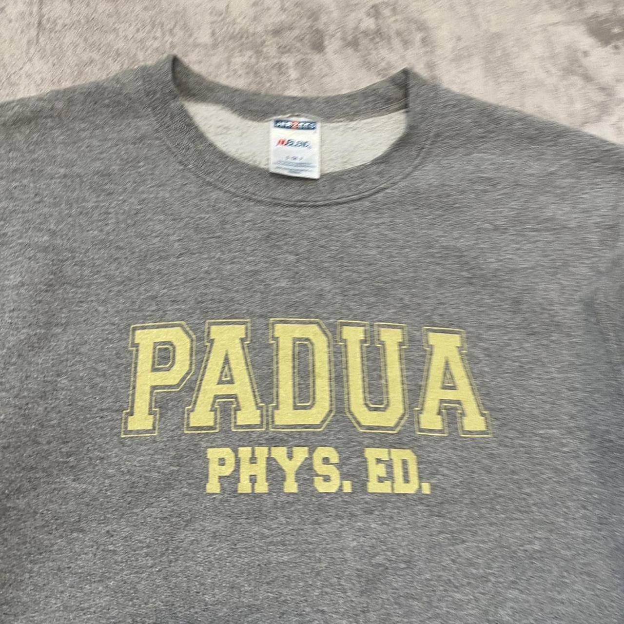 Jerzees 2000s y2k Boxy Jerzees Grey Padua Phys Ed Size US S / EU 44-46 / 1 - 3 Thumbnail