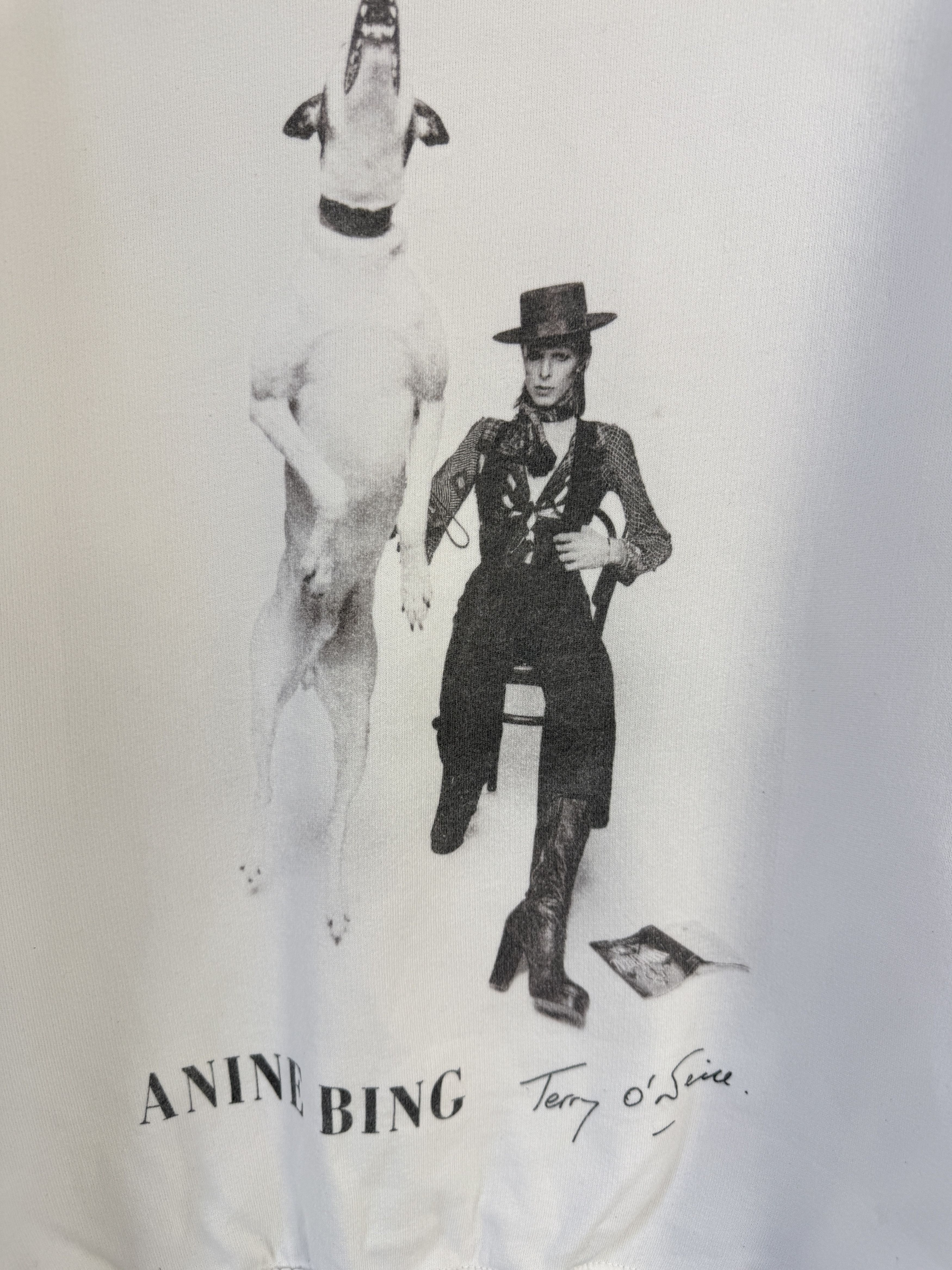 Anine Bing Anine Bing David Bowie Terry O'Neill sweatshirt crewneck Size M / US 6-8 / IT 42-44 - 2 Thumbnail