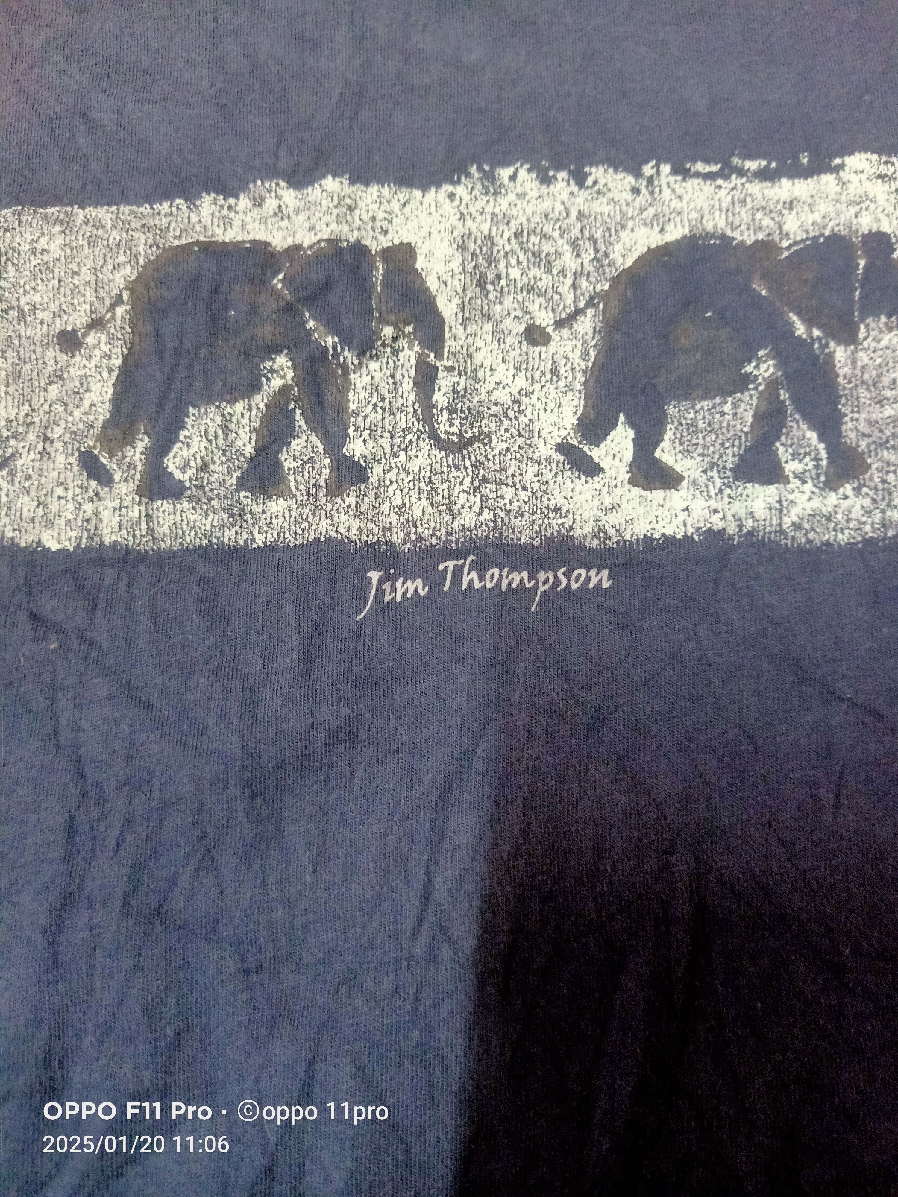 Designer × Jim Thompson JimcThompson Animals Print Logo SunFaded Size US S / EU 44-46 / 1 - 3 Thumbnail