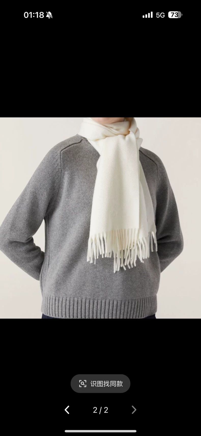 Loro Piana LORO PIANA Flocked decorative wool scarf Size ONE SIZE - 4 Thumbnail
