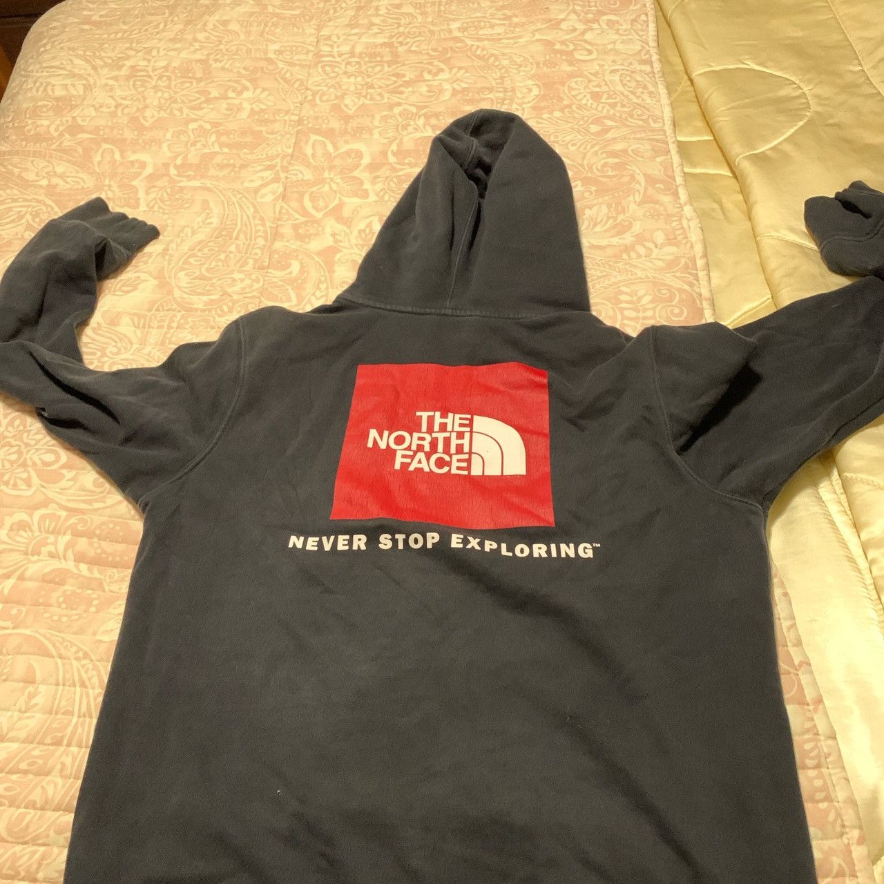 The North Face The North Face Hoodie Size US M / EU 48-50 / 2 - 3 Thumbnail