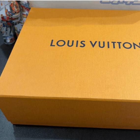 Louis Vuitton Louis Vuitton low-top shoes Size US 7 / EU 40 - 11 Thumbnail