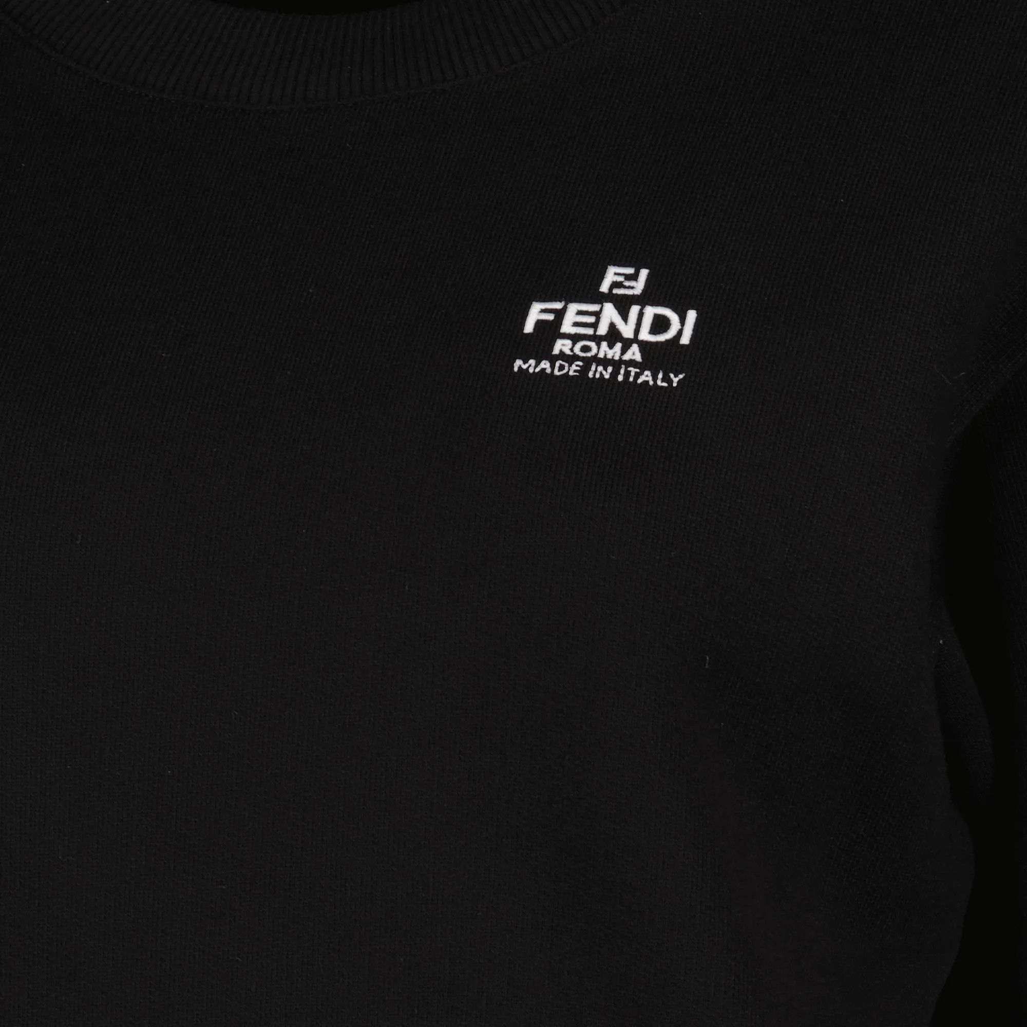 Fendi o1s1wg110825 Sweatshirt in Black Size L / US 10 / IT 46 - 3 Thumbnail