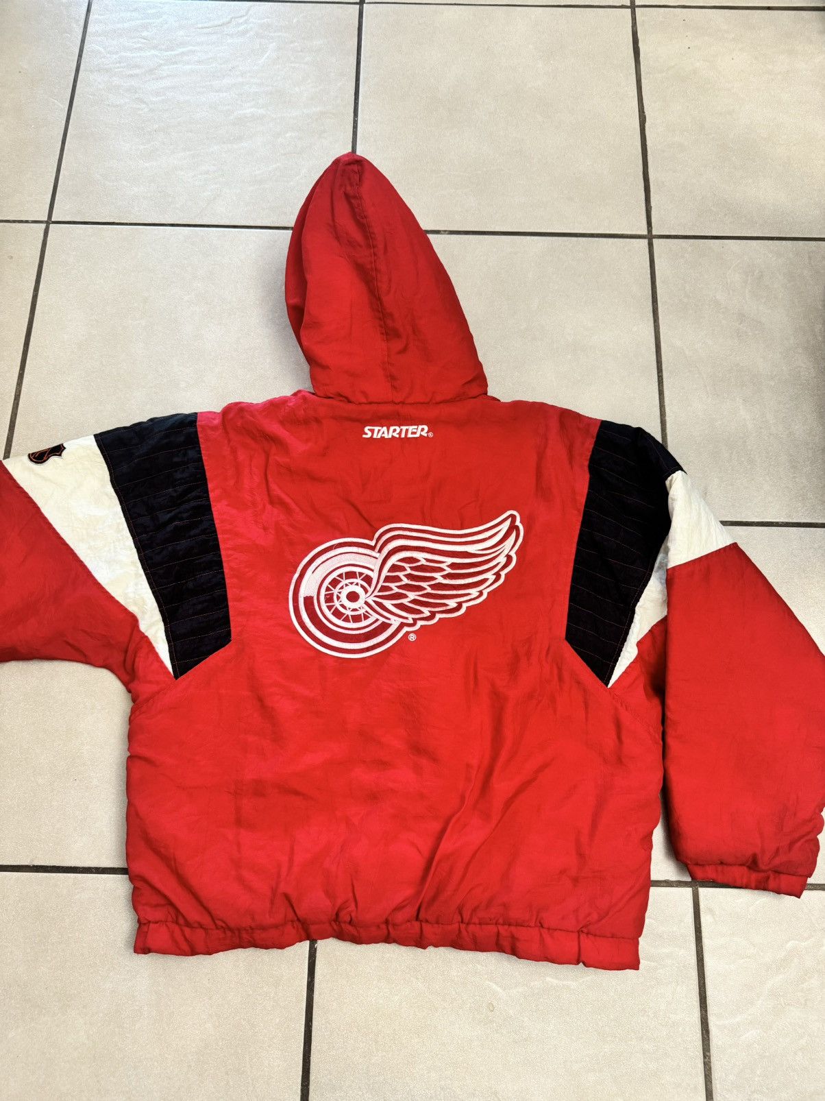 Starter red wing detrit hockey nhl