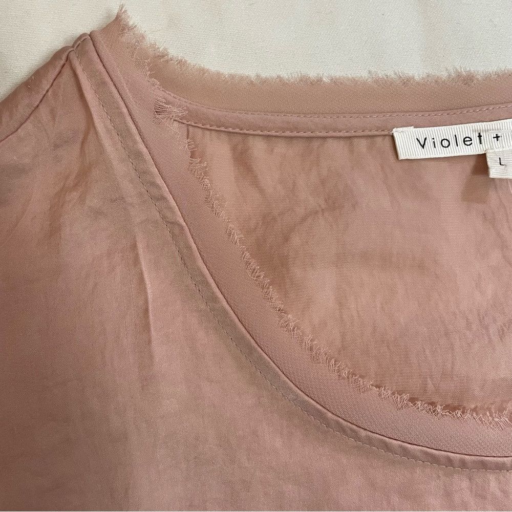 Other New Violet & Claire Short Sleeve Pale Pink Blouse Size L Size L / US 10 / IT 46 - 8 Thumbnail