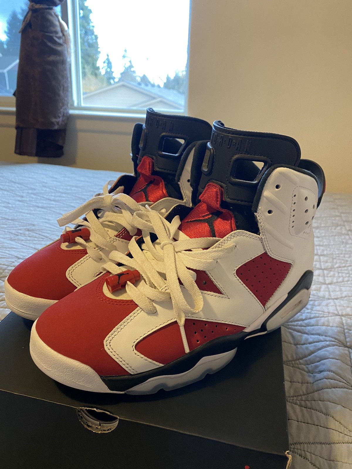 dtlr jordan 6 carmine