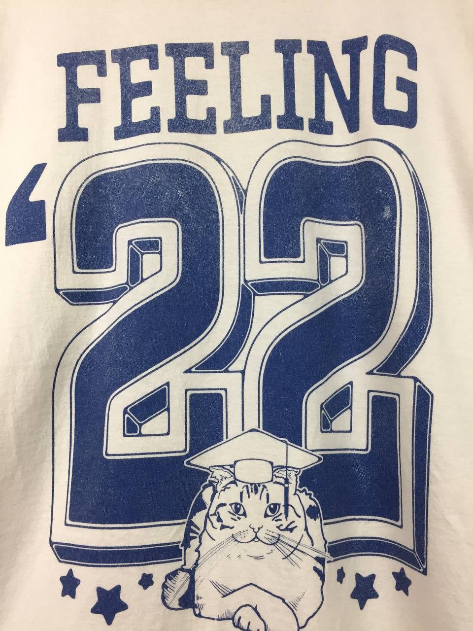 Band Tees Taylor Swift Feeling 22 Cat Graduation Long Sleeve Tee Size US L / EU 52-54 / 3 - 4 Thumbnail