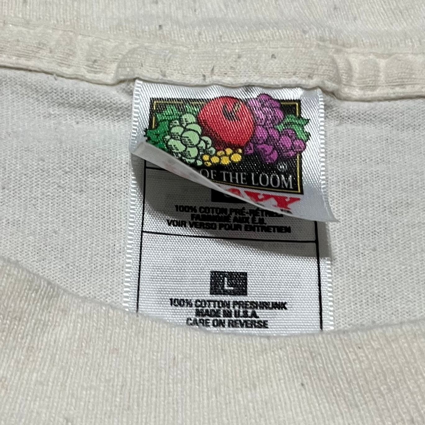 Fruit Of The Loom Vintage Single Stitch Christian Educated Proverbs 22:6 Shirt Size US L / EU 52-54 / 3 - 5 Thumbnail