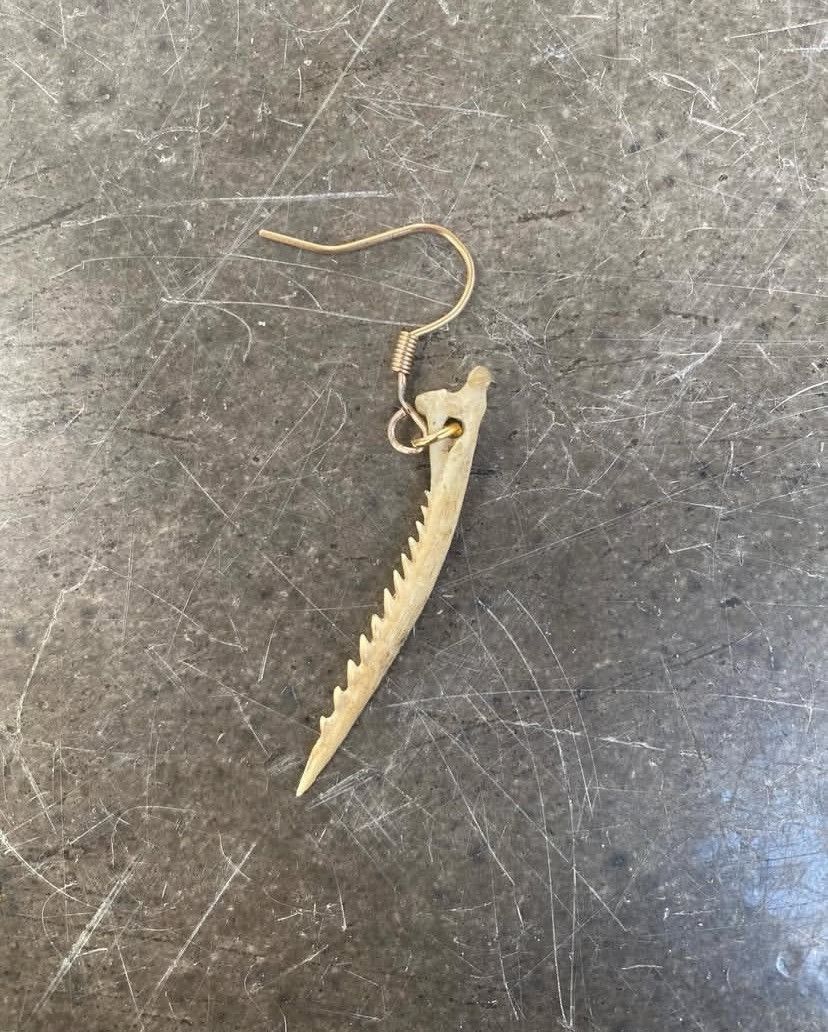 Designer Fish bone earring with 24ct gold trimmings Size ONE SIZE - 1 Preview