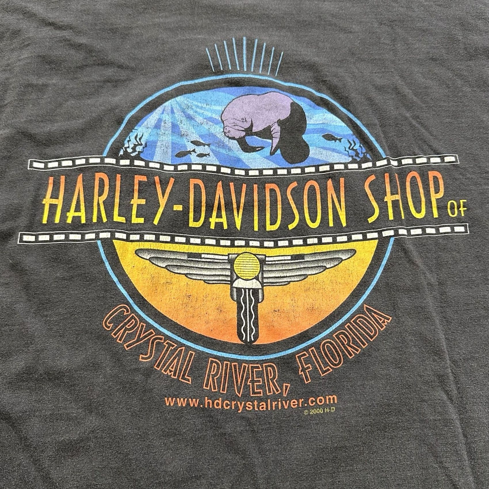 Harley Davidson Vintage Harley Davidson Shirt Mens XL SS Tee Y2K 2000s Flaming Eagle Florida Size US XL / EU 56 / 4 - 6 Thumbnail