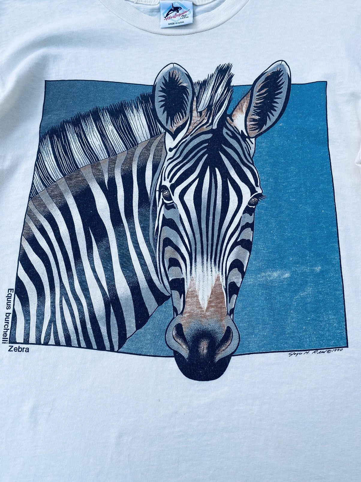 Vintage Vintage 90s Equus Burchelli Zebra Art Tees Size US L / EU 52-54 / 3 - 3 Thumbnail