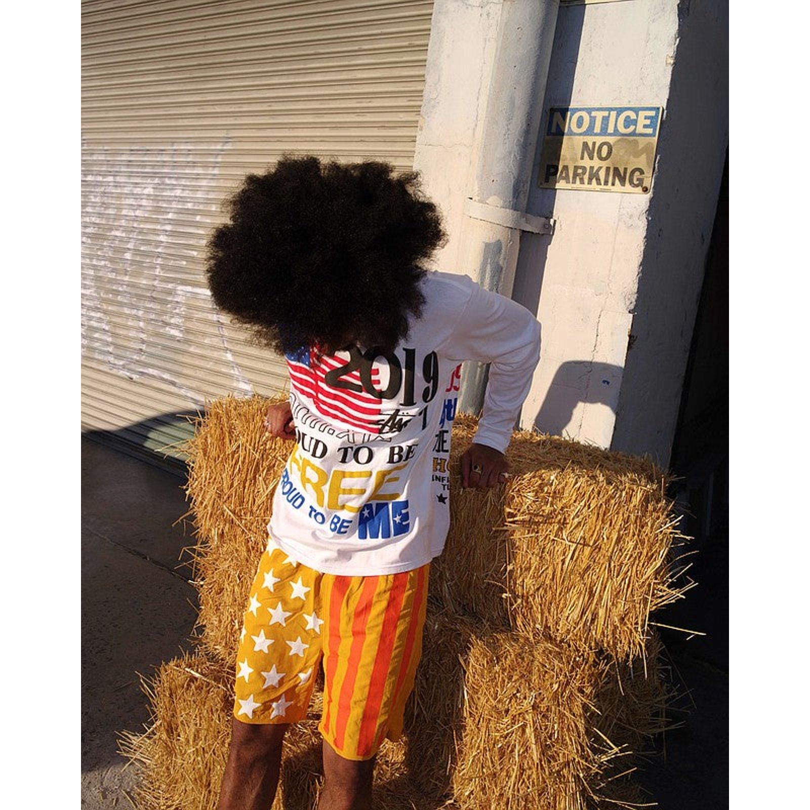 Cactus Plant Flea Market × Dover Street Market × Stussy CPFM x Stussy x DSMLA “4th of July” Shorts Size US 36 / EU 52 - 3 Thumbnail