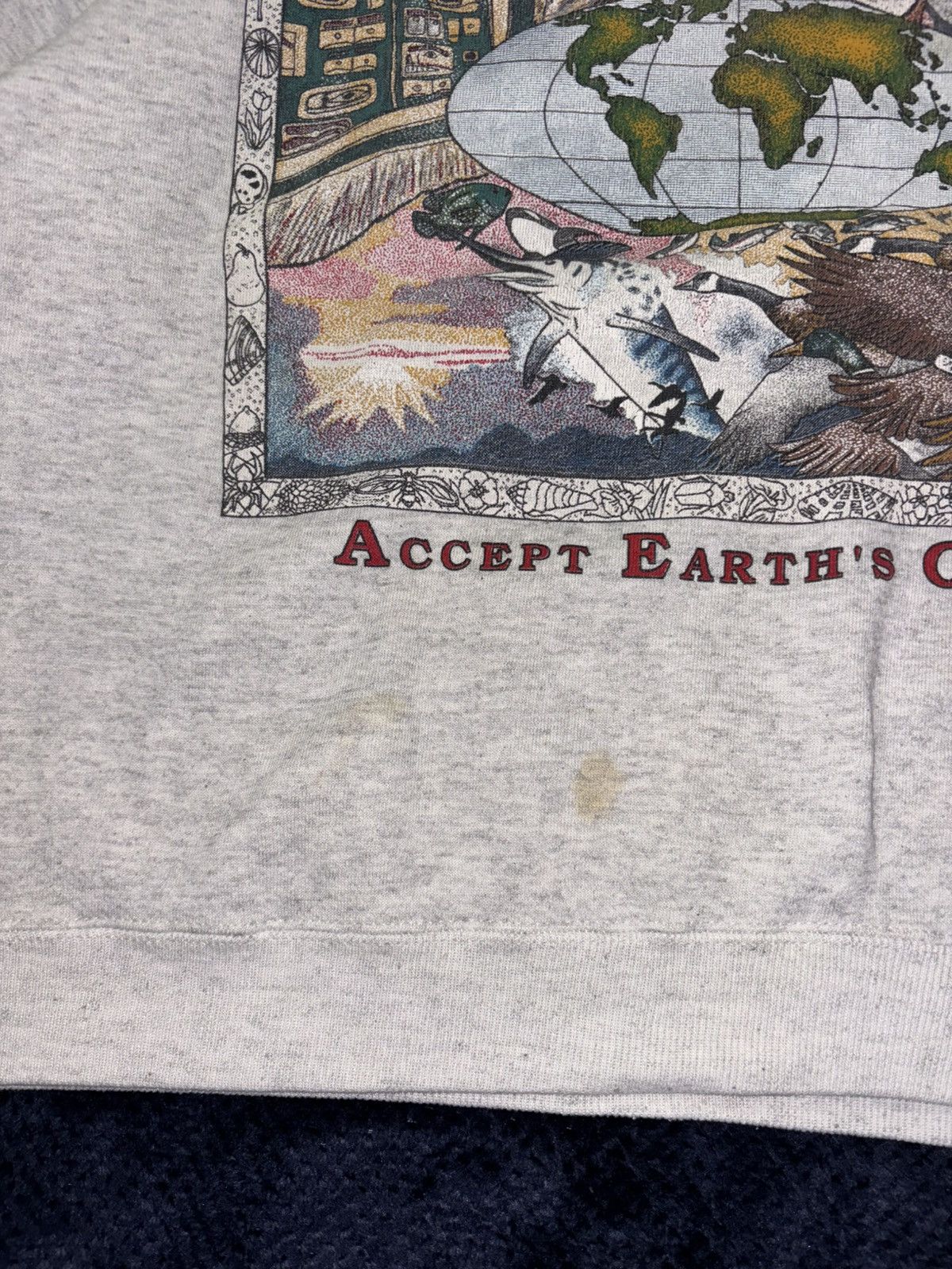 American Eagle Outfitters American Eagle Vintage Sweatshirt Size US L / EU 52-54 / 3 - 6 Thumbnail