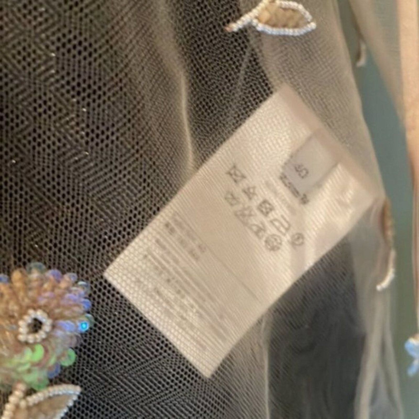 Valentino Valentino Ricamato Embellished Blouse champaign colored Size S / US 4 / IT 40 - 6 Thumbnail