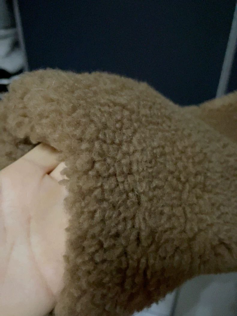 Max Mara Max Mara Classic Teddy Bear Coat Size S / US 4 / IT 40 - 7 Thumbnail