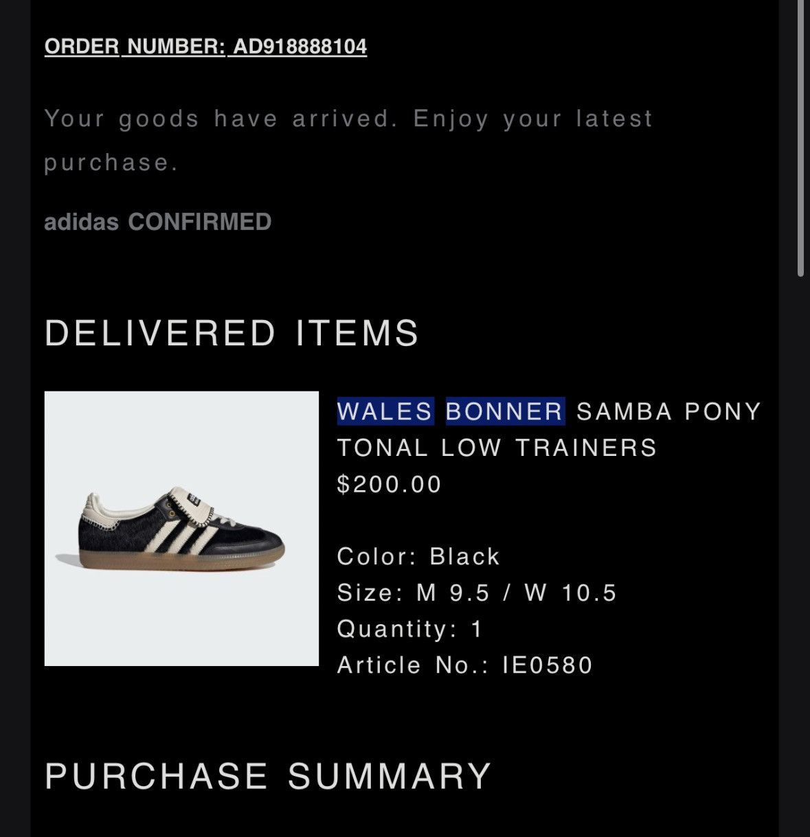Adidas × Wales Bonner Adidas x Wales Bonner Samba Pony Tonal Core Black Size US 9.5 / EU 42-43 - 15 Thumbnail