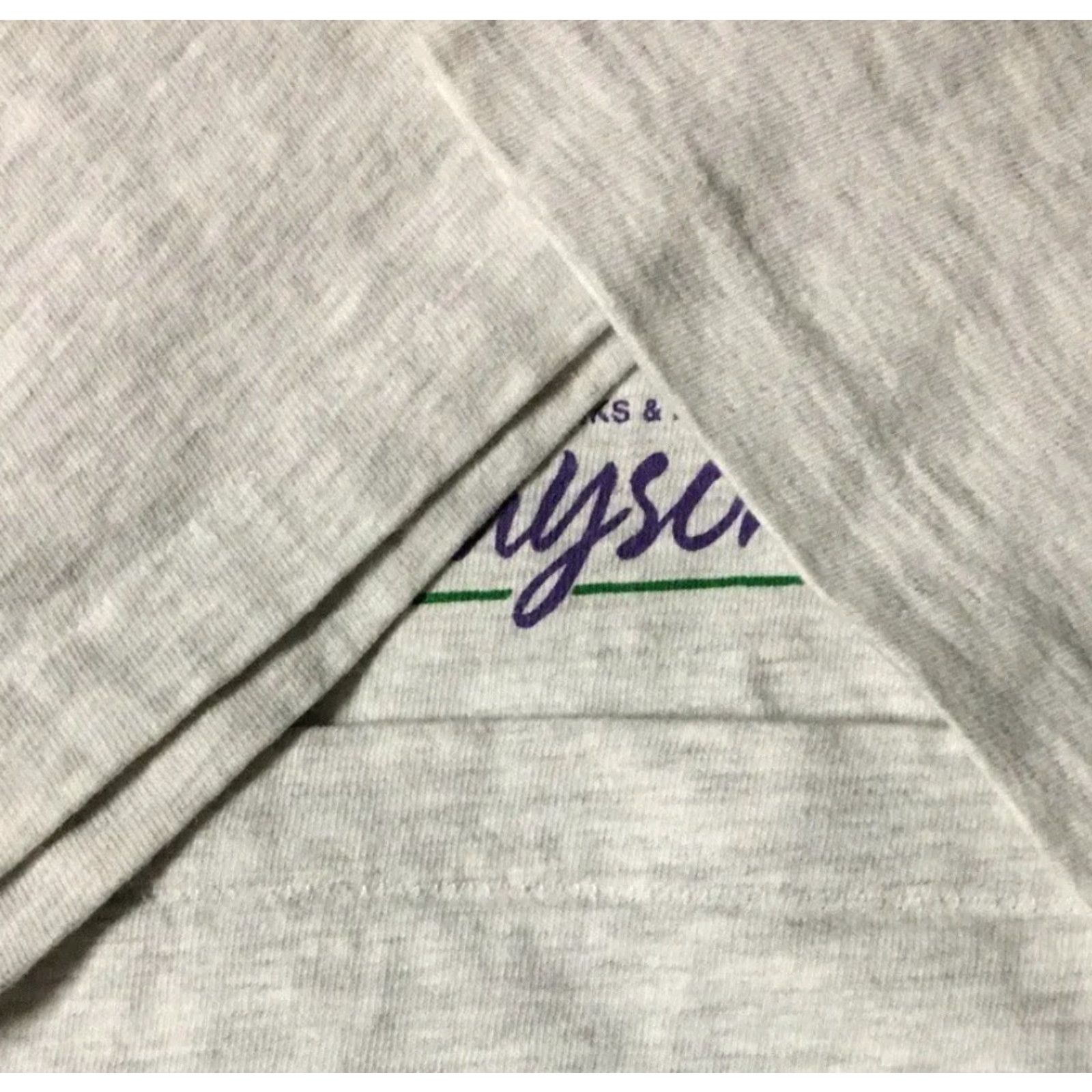 Champion VINTAGE Payson Arizona Softball Champions Shirt XL Gray Single Stitch T-Shirt Men 90s Grunge School Baseball Track & Field USA USA Size US XL / EU 56 / 4 - 5 Thumbnail