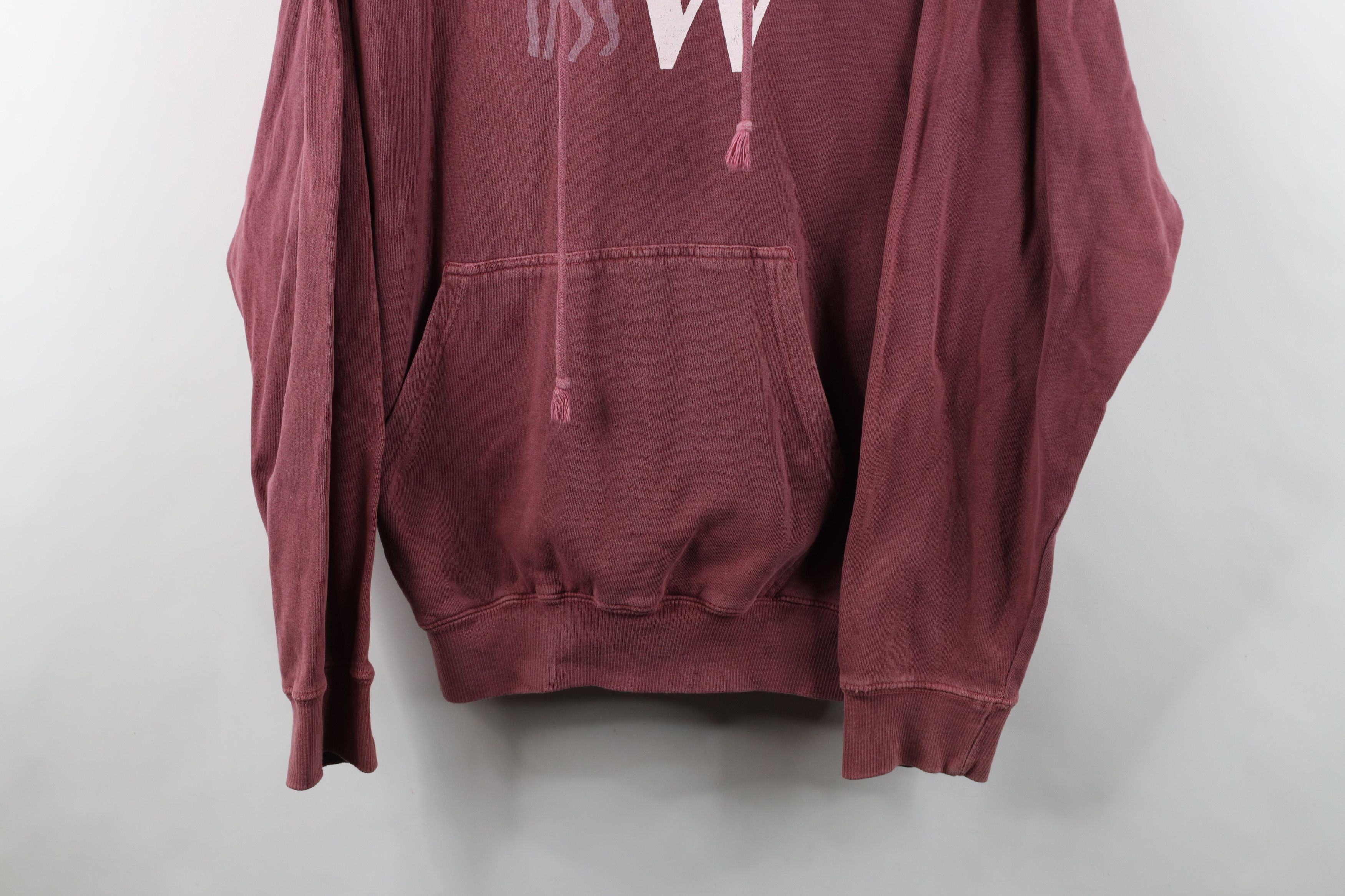 Vintage Vtg 90s Y2K Streetwear Pigment Michigan Wilderness Hoodie Size US M / EU 48-50 / 2 - 3 Thumbnail