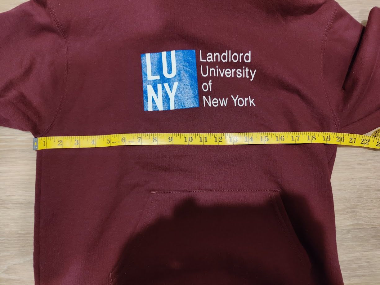 LANDLORD Landlord University of New York (LUNY) Hoodie Size US M / EU 48-50 / 2 - 7 Thumbnail