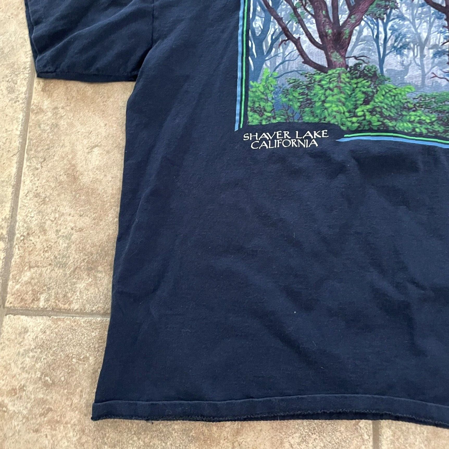 Vintage VINTAGE Eagle Stitch Lake California Graphic T-Shirt Men 2XL Silver USA Size US XXL / EU 58 / 5 - 3 Thumbnail