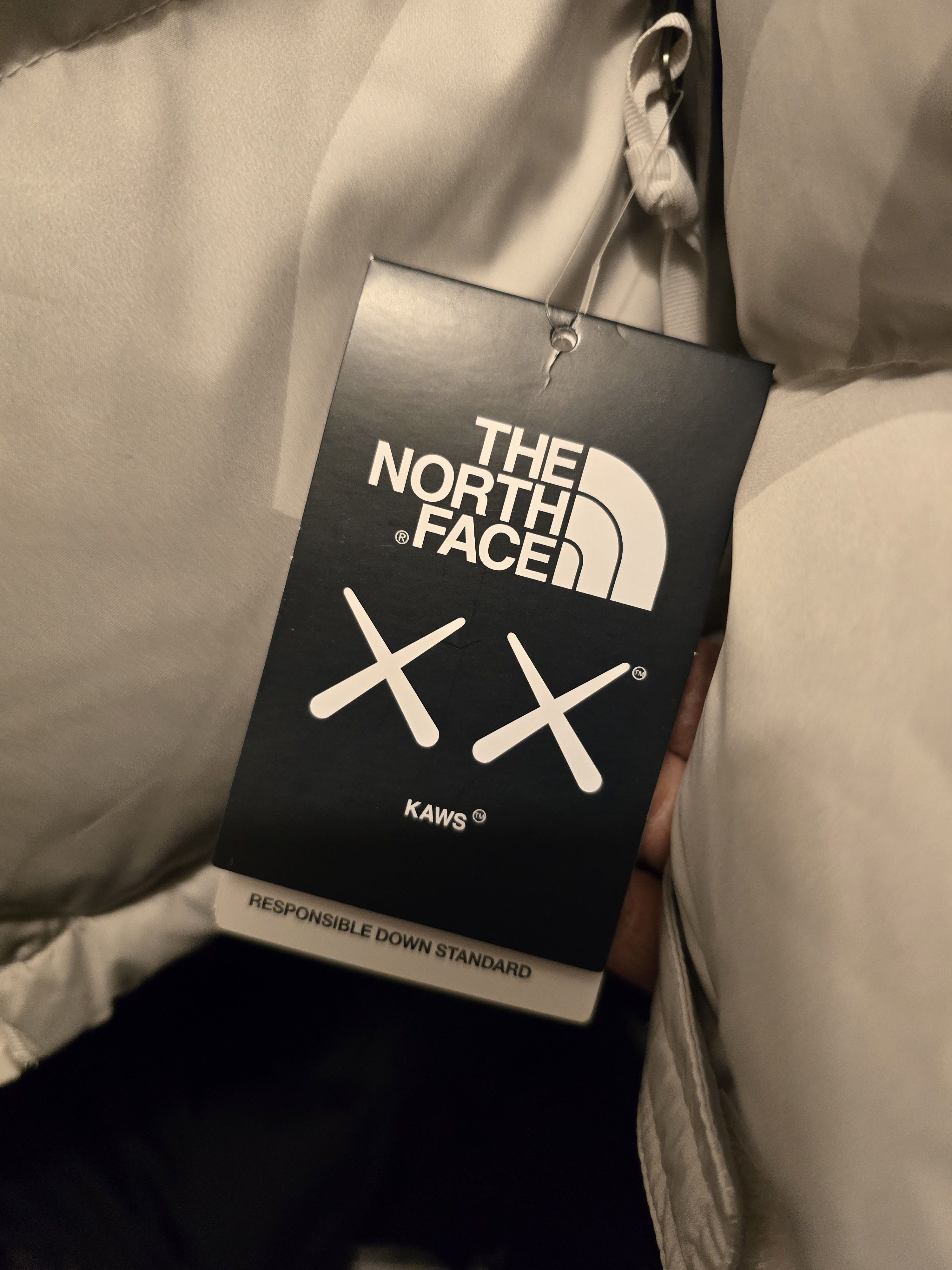 Kaws × The North Face North Face x Kaws Retro 1996 Nupste Jacket Size US M / EU 48-50 / 2 - 6 Thumbnail