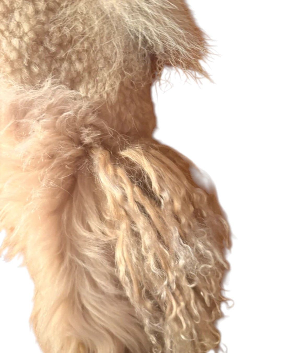 Roberto Cavalli UNIQUE LONG GENUINE LEATHER TEDDY SCARF Size ONE SIZE - 2 Thumbnail
