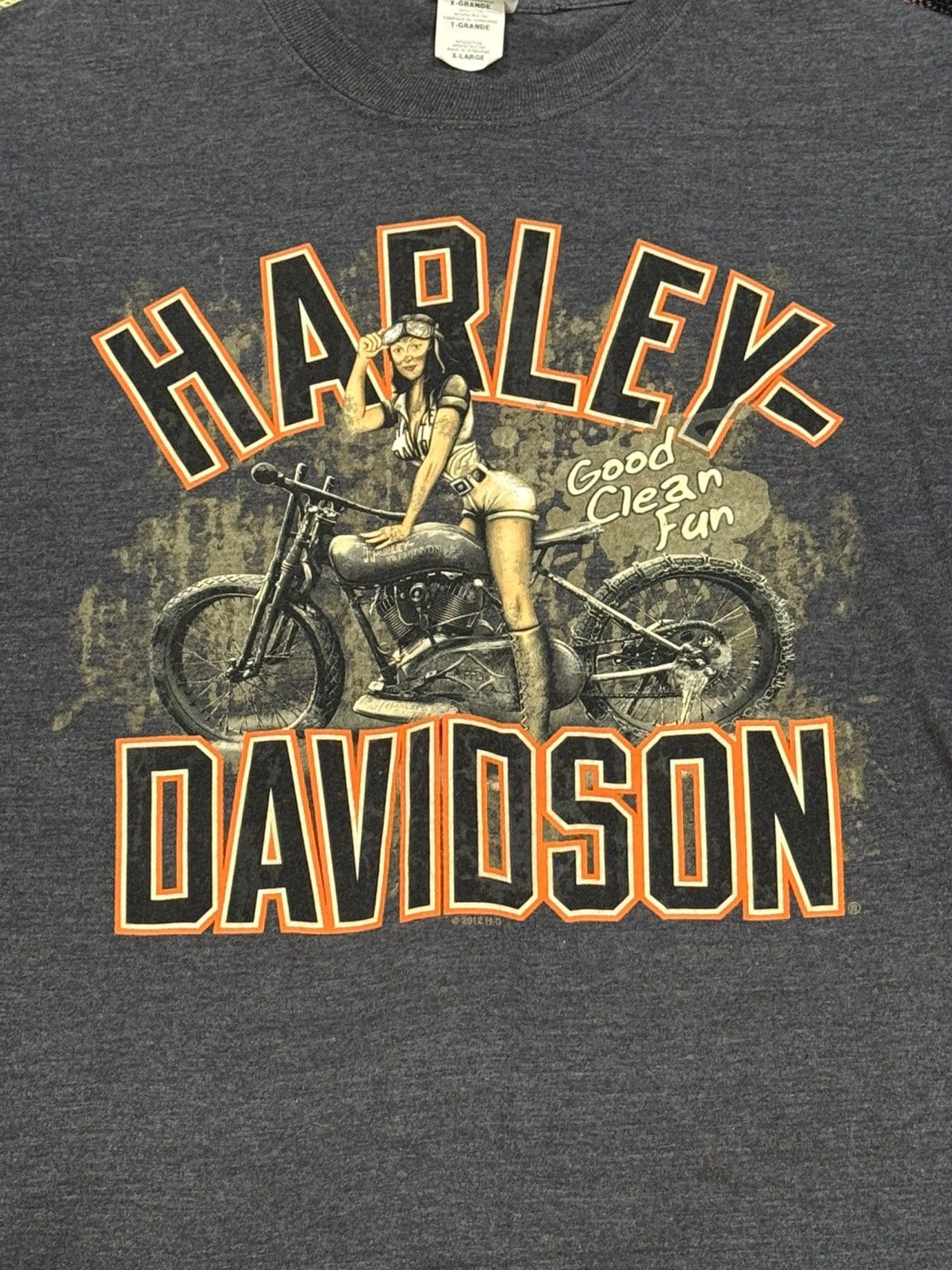 Harley Davidson Harley Davidson Grand Canyon tee Size US XL / EU 56 / 4 - 2 Thumbnail