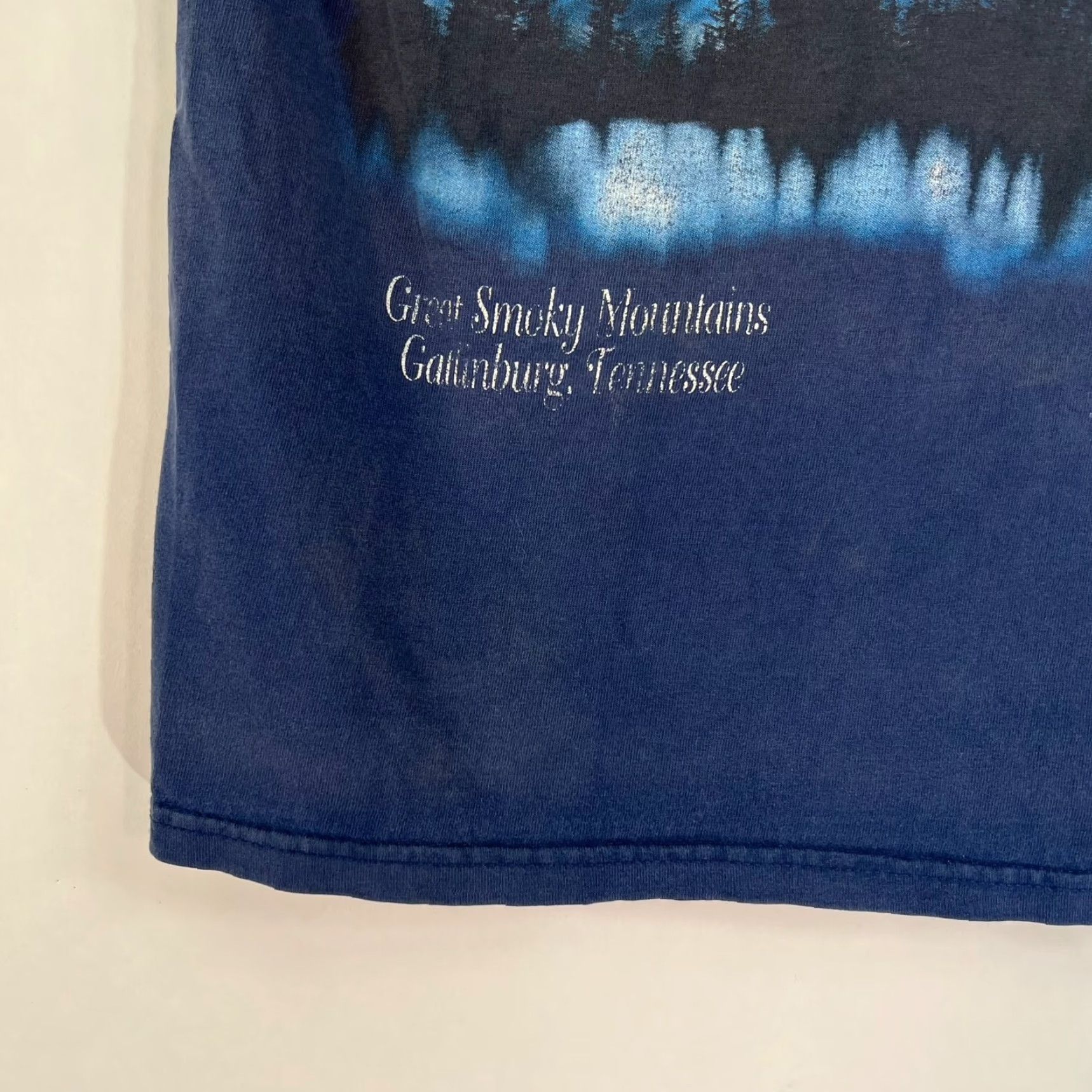 Hanes Hanes Vintage Smokey Mountains Gatlinburg TN Eagle Shirt Adult S Blue Men T-Shirt 90s Classic Nature Logo Size US S / EU 44-46 / 1 - 2 Thumbnail