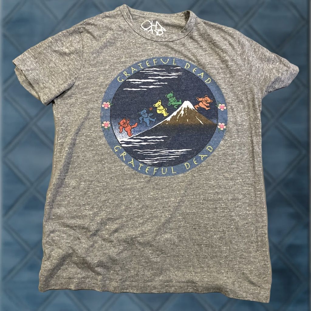 Vintage GRATEFUL DEAD Chaser Fire On The Mountain T Shirt Large Gray Men L Size US L / EU 52-54 / 3 - 1 Thumbnail