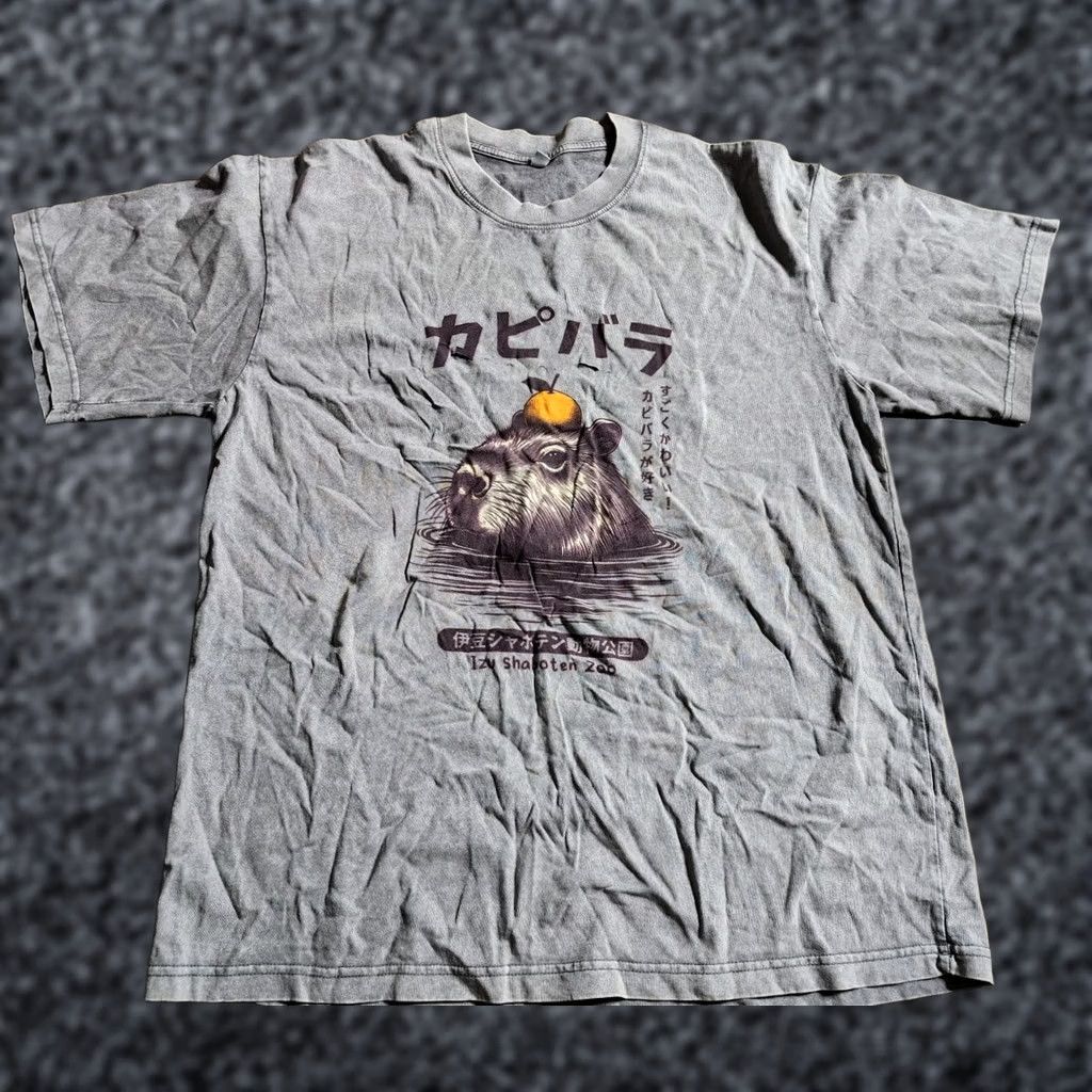 Thrasher Vintage Unbranded T-Shirt Mens L Gray 80s Retro Shaboten Zoo Capybara Japan Shirt Size US L / EU 52-54 / 3 - 1 Thumbnail