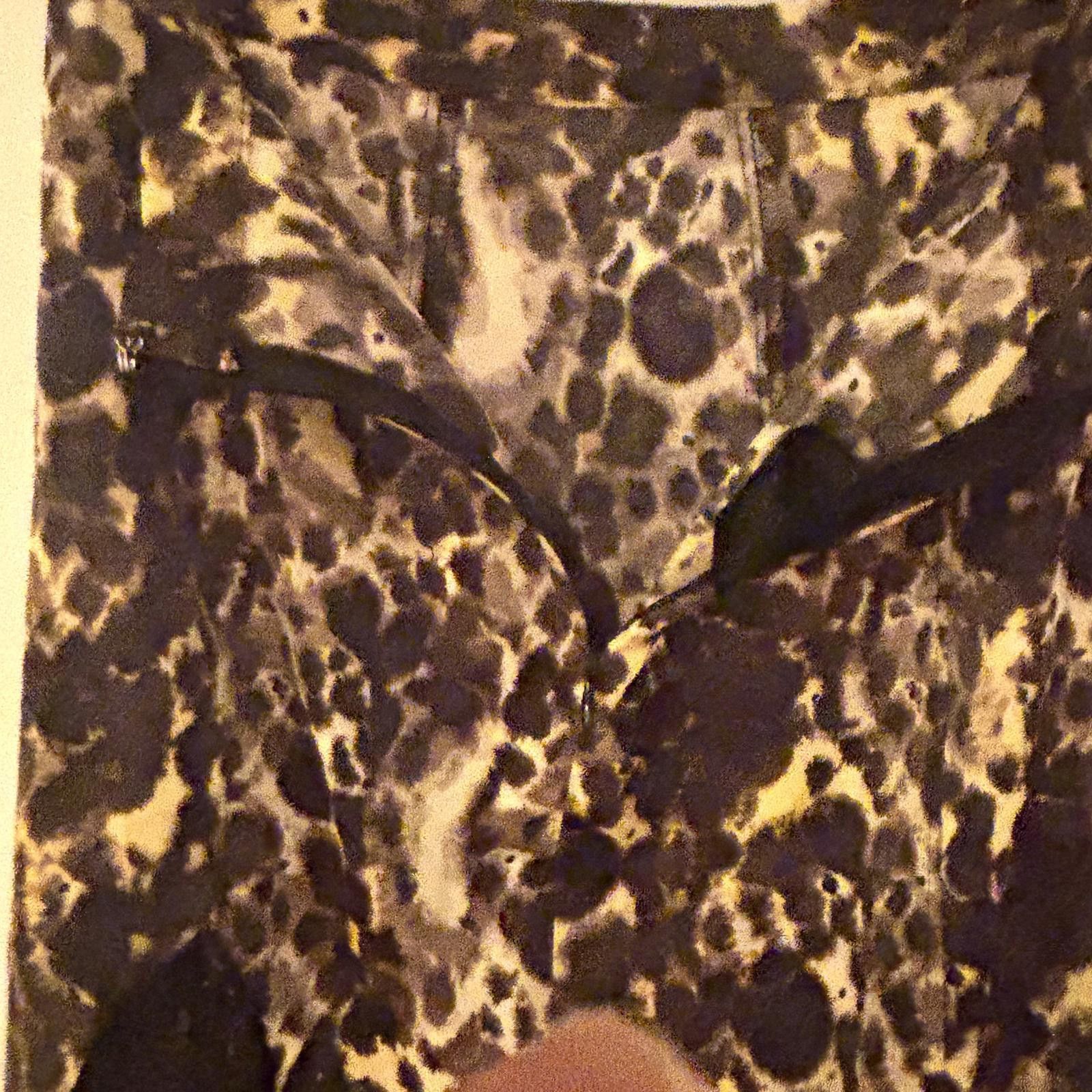 Urban Outfitters Urban Outfitters Leopard Print Maxi Skirt Size 26" / US 2 / IT 38 - 6 Thumbnail
