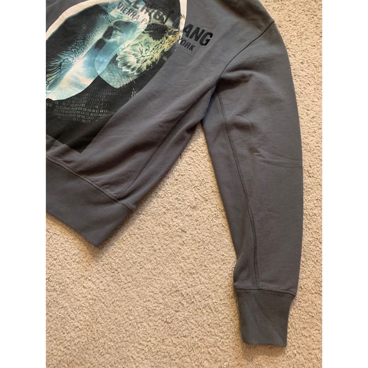 Helmut Lang HELMUT LANG EAGLE STANDARD HOODIE Size US M / EU 48-50 / 2 - 17 Thumbnail